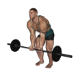 Reverse Row - Barbell Close Grip